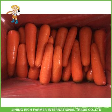 Atacado Fresh Carrot Preço à venda